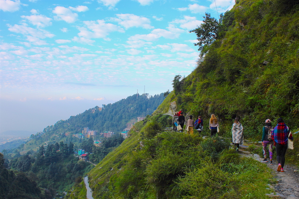 Yoga Meditation Dharamsala