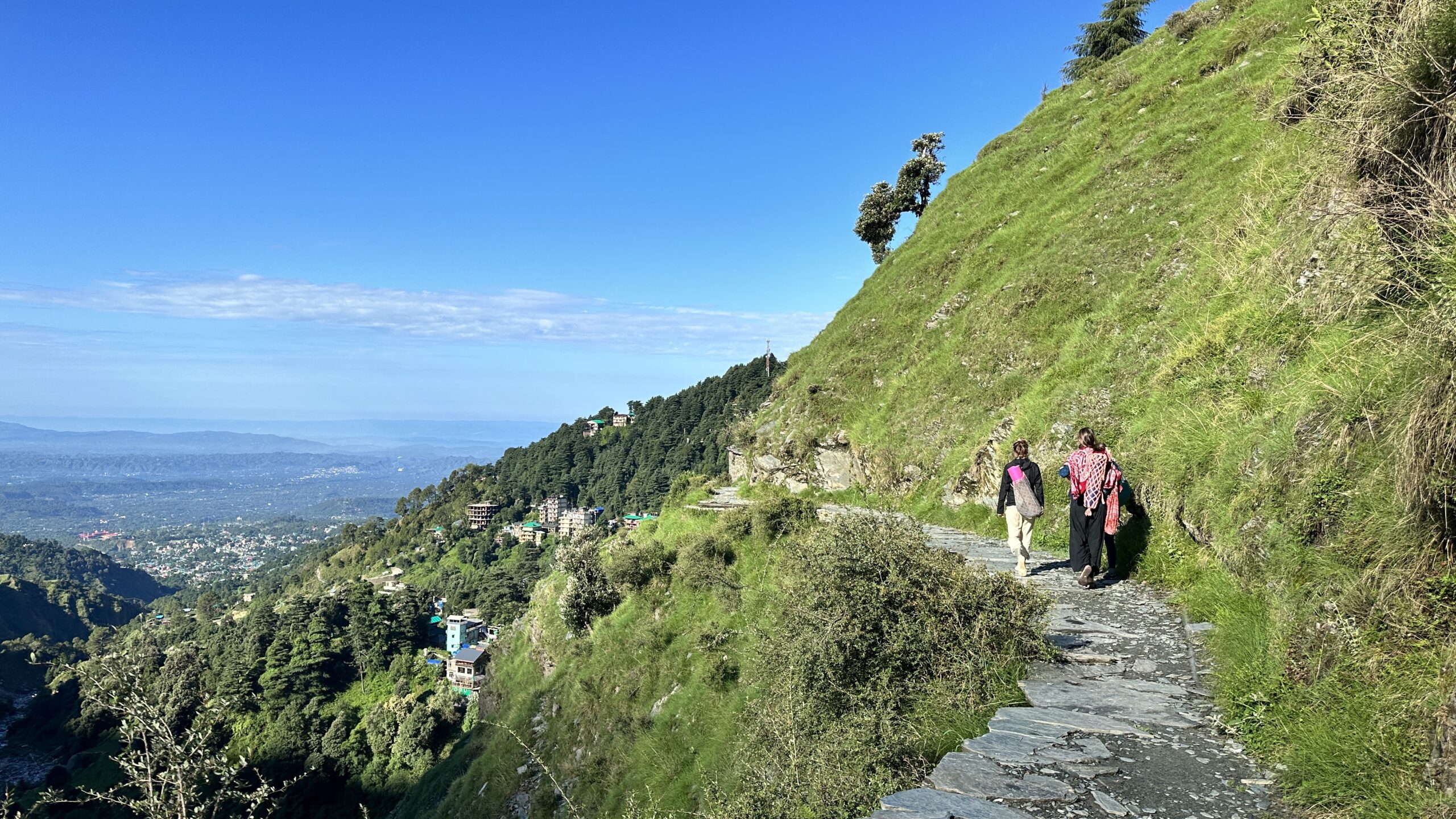 Yoga Meditation Dharamsala