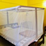 Yoga Meditation Dharamsala