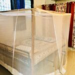 Yoga Meditation Dharamsala