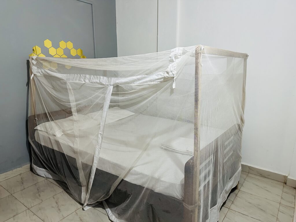 Yoga Meditation Dharamsala